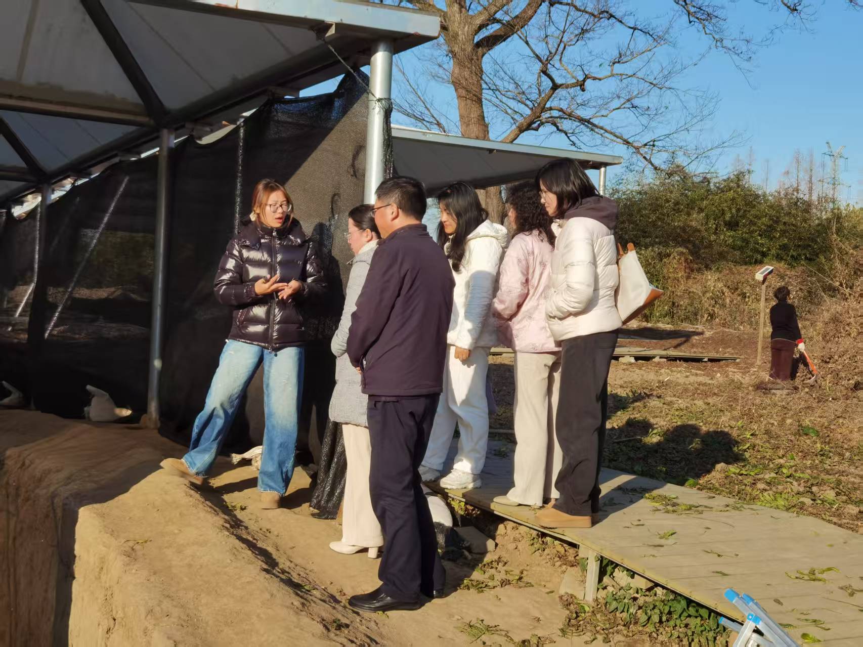 c6d13b29883453a194ded0392c7ce514